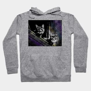 Galaxy Cats Hoodie